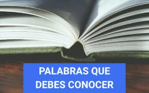 Palabras que debes conocer si quieres ganar dinero con un blog